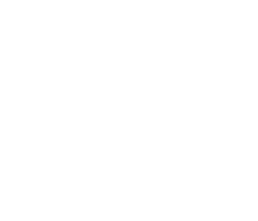 Toader Consulting
